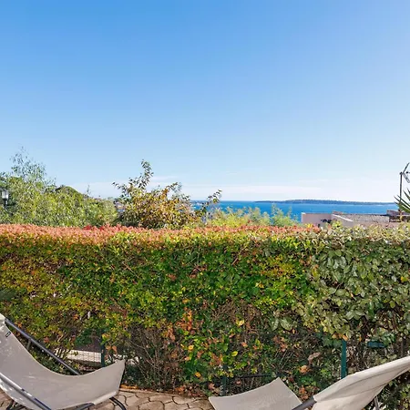 Vue Avec Grande Terrasse - * Cannes